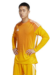 Adidas Pro Goalkeepers jersey